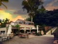 Restaurant Le Grand Arbre Montpellier Gastronomie