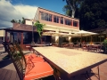 Restaurant Le Grand Arbre Montpellier Gastronomie