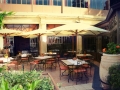 Restaurant Le Grand Arbre Montpellier Gastronomie