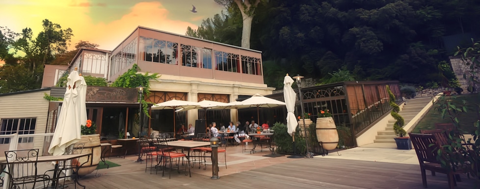Restaurant Le Grand Arbre Montpellier Gastronomie